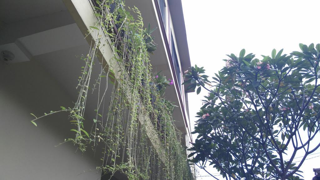 Nyoman Badri Homestay Ubud Eksteriør bilde