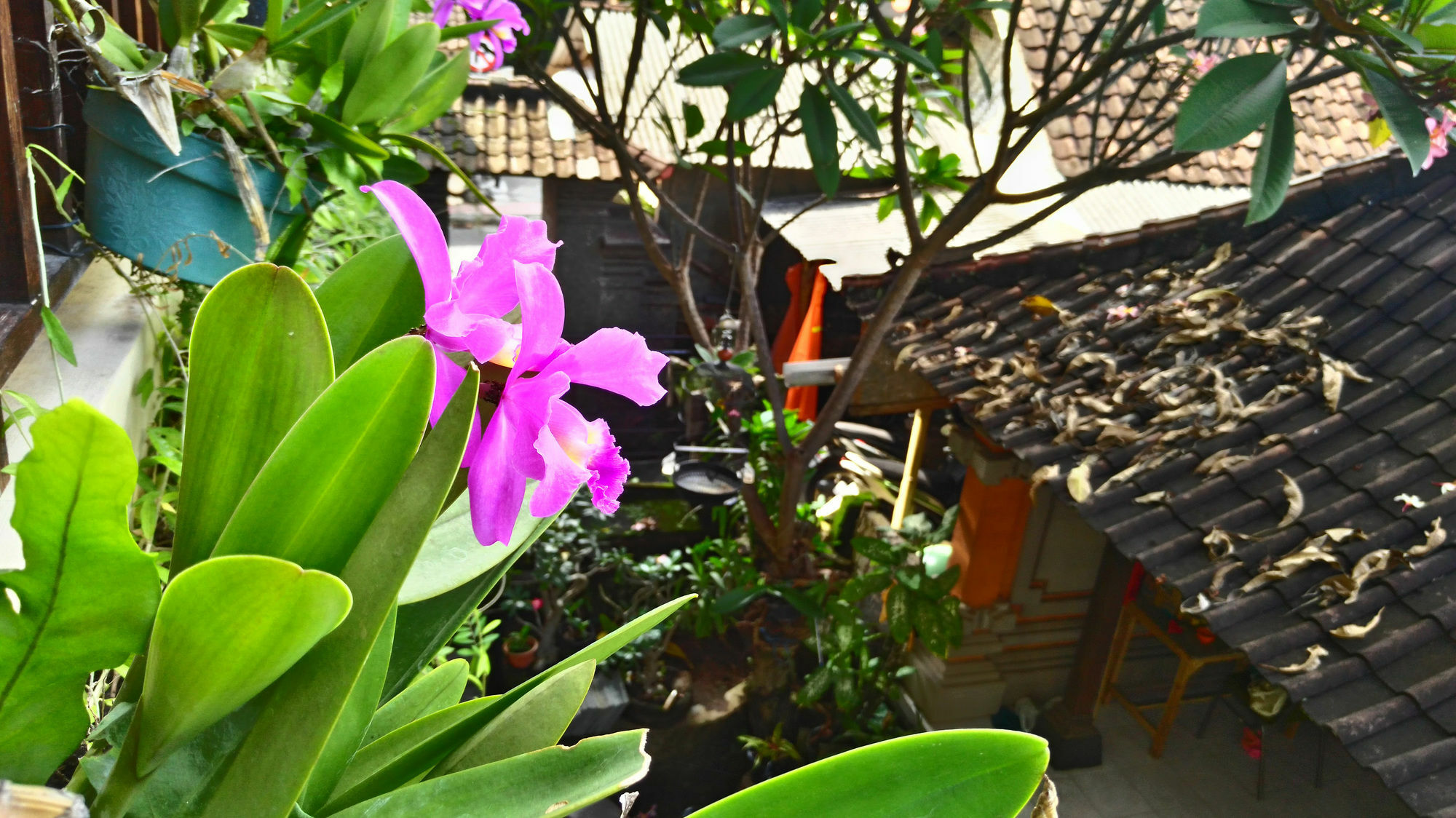 Nyoman Badri Homestay Ubud Eksteriør bilde